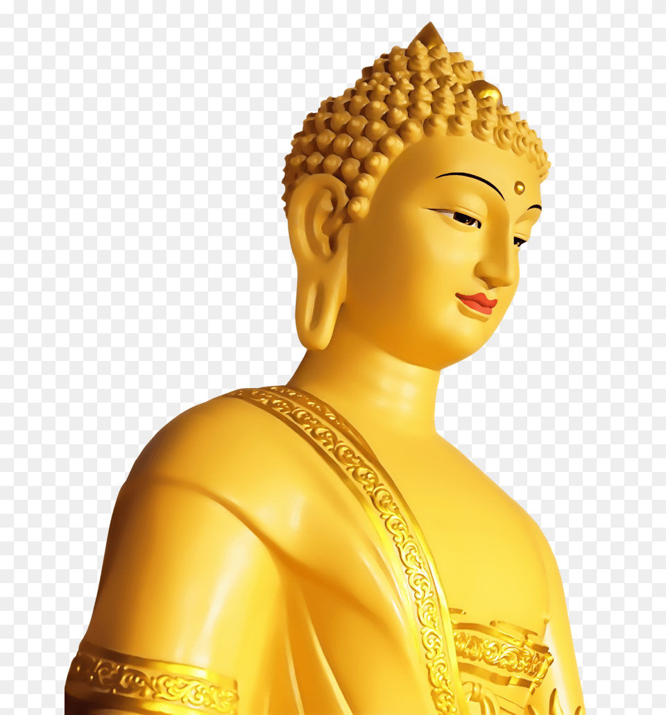 Buddha, Art, Prayer, Adult, Person Free Png Download