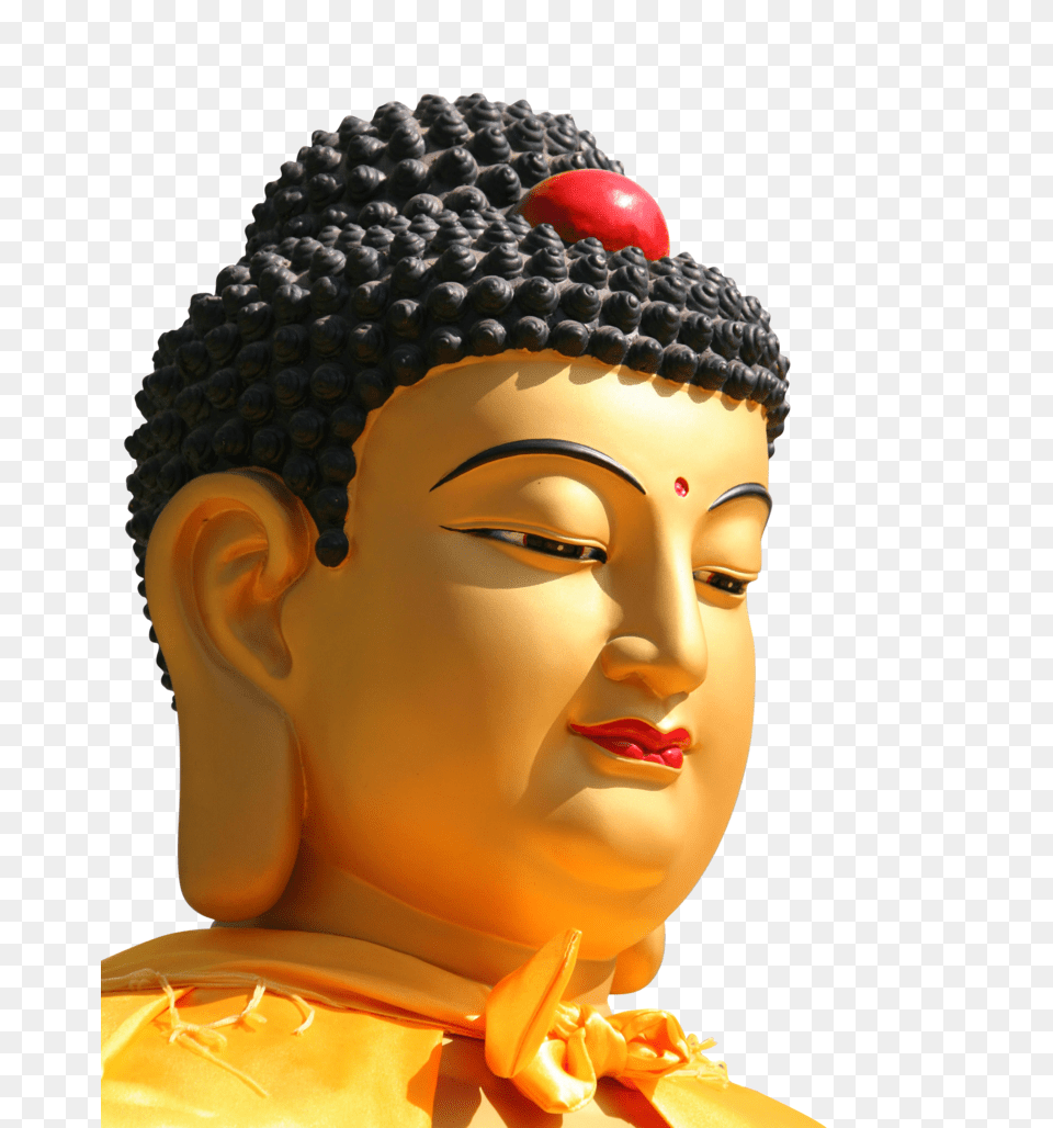 Buddha, Art, Prayer, Adult, Female Png