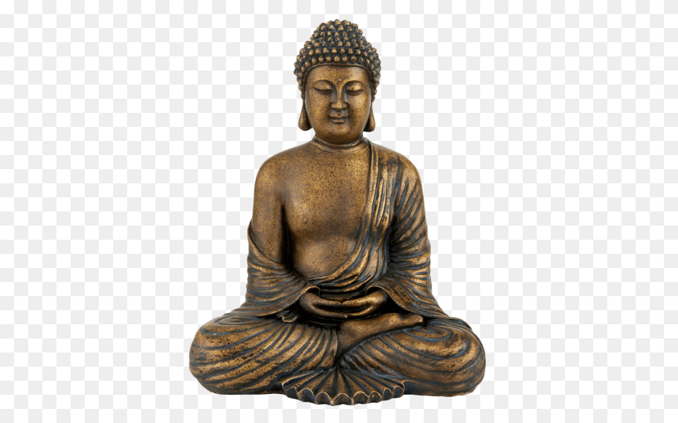 Buddha, Art, Prayer, Adult, Male Png