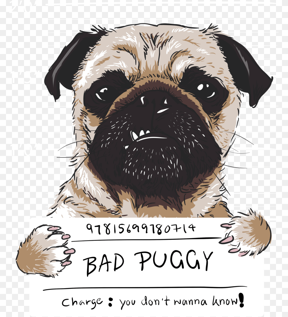 Buddha The Pug Salute, Animal, Canine, Mammal, Dog Png Image