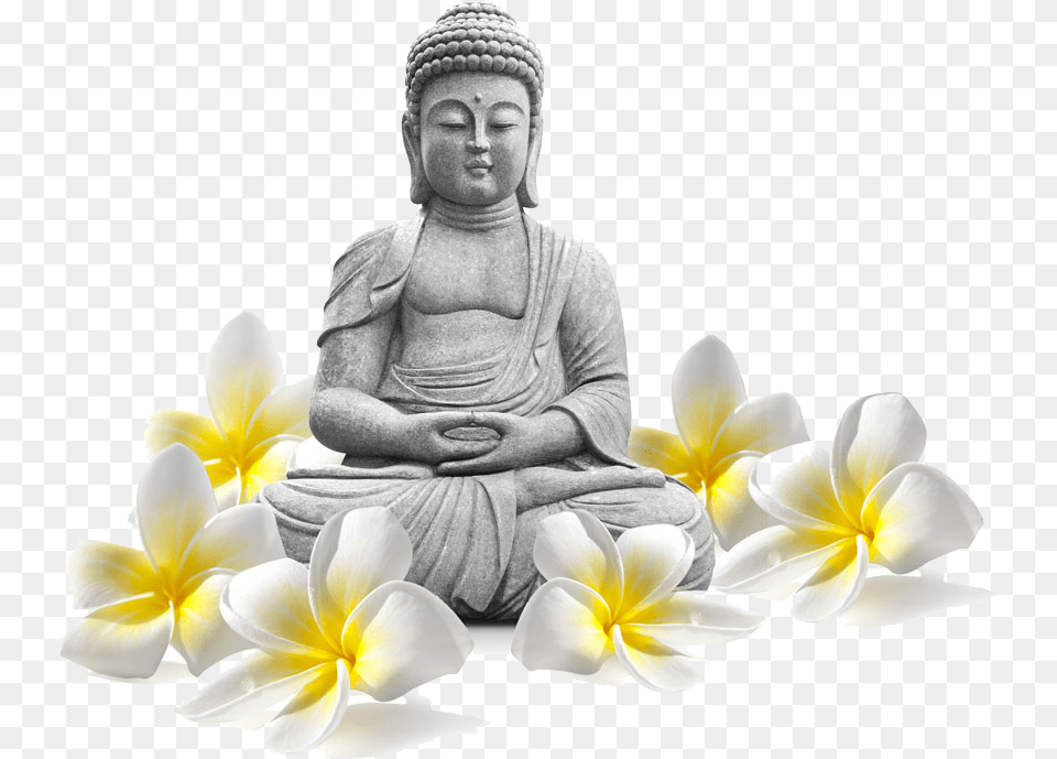Buddharupa Proxy List Buddhism Icon Transparent Background Buddha, Art, Adult, Person, Man Png