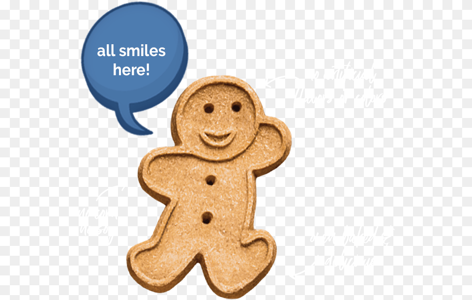 Buddy Biscuit Features Buddy Biscuits, Cookie, Food, Sweets, Gingerbread Free Png Download