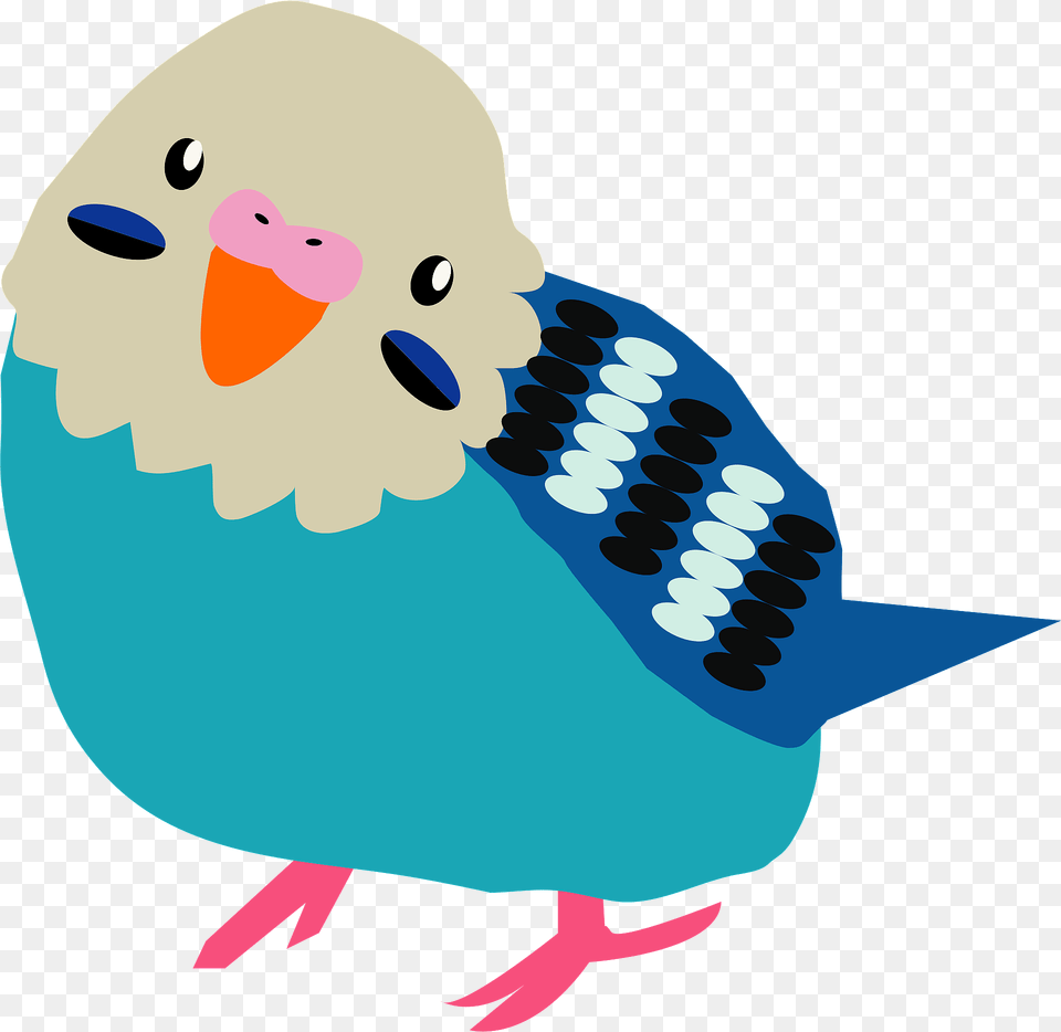 Budgerigar Parakeet Clipart, Animal, Bird, Parrot, Beak Png Image