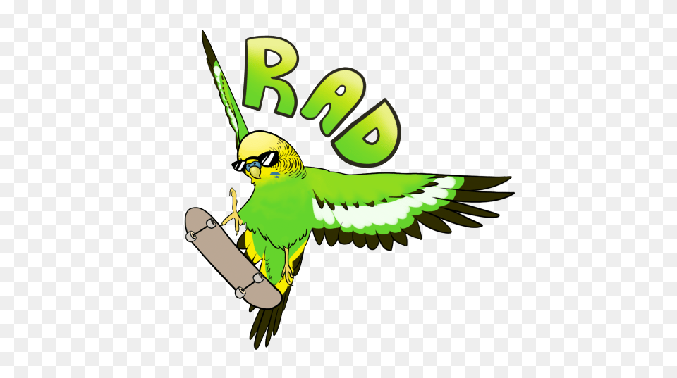 Budgerigar Parrot Bird Parakeet Clip Art, Animal, Beak, Fish, Sea Life Free Png Download