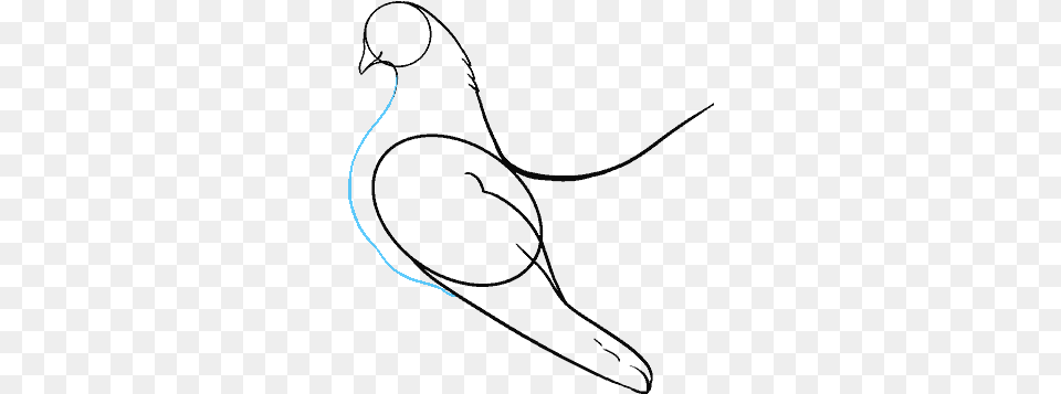 Budgie Drawing Step By, Nature, Night, Outdoors, Weapon Free Png