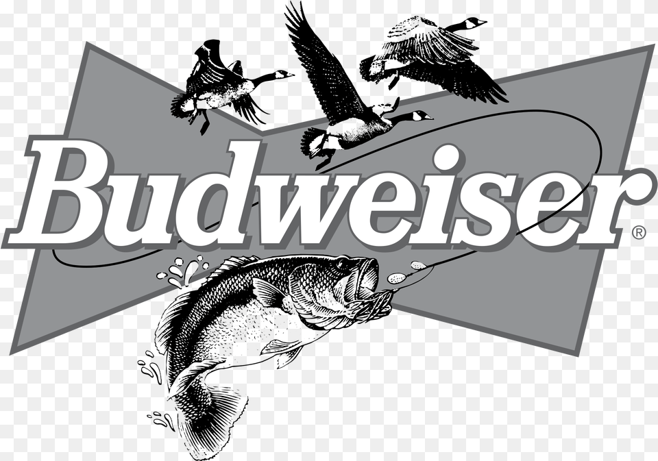 Budweiser Clipart Budweiser, Fishing, Leisure Activities, Outdoors, Water Free Png Download