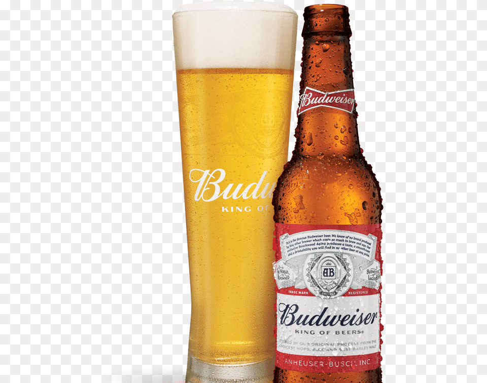 Budweiser Download Wheat Beer, Alcohol, Lager, Glass, Beverage Png Image