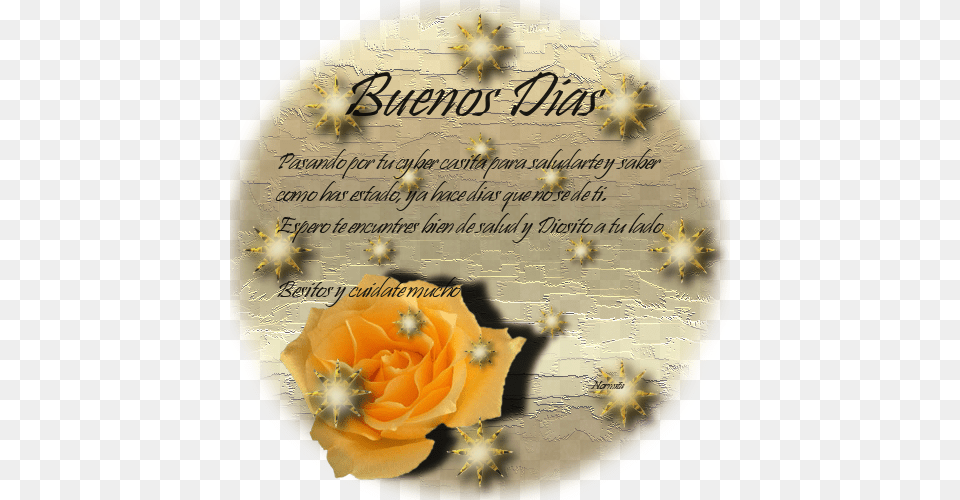 Buenos Dias Tengas Un Bonito Dia, Gold, Flower, Plant, Rose Png Image
