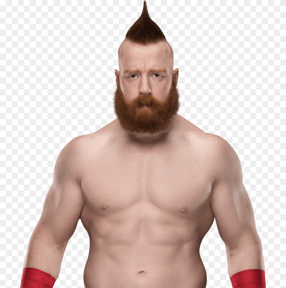 Buff Guy Sheamus 2019, Adult, Beard, Face, Head Png Image