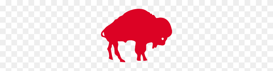 Buffalo Bills Primary Logo Sports Logo History, Animal, Bison, Mammal, Wildlife Free Png