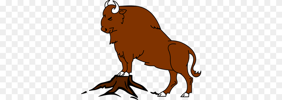 Buffalo Bison Bull Beast Wildlife Bufalo Desenho, Animal, Mammal, Adult, Female Png