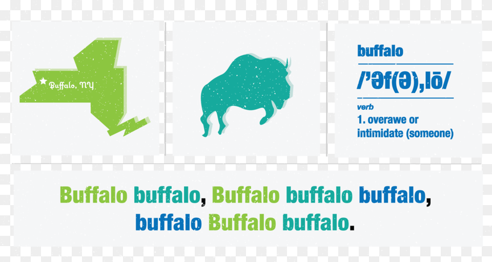 Buffalo Buffalo Graphic Design, Advertisement, Poster, Animal, Bear Png Image