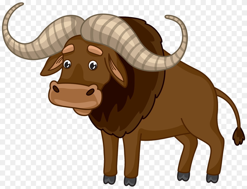 Buffalo Clipart, Animal, Mammal, Wildlife, Bull Free Png