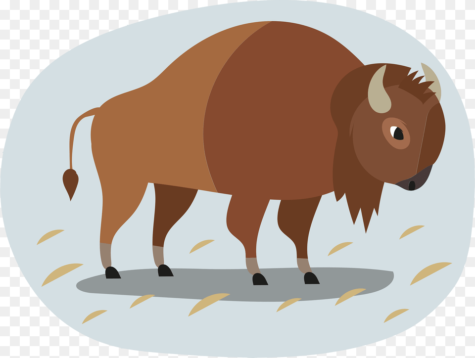 Buffalo Clipart 2009, Animal, Mammal, Wildlife, Bison Free Transparent Png