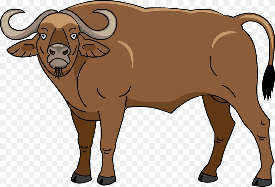 Buffalo Clipart, Animal, Bull, Mammal, Wildlife Free Png Download