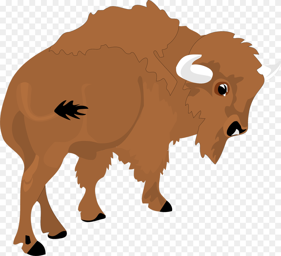 Buffalo Clipart, Animal, Mammal, Wildlife, Bison Png Image