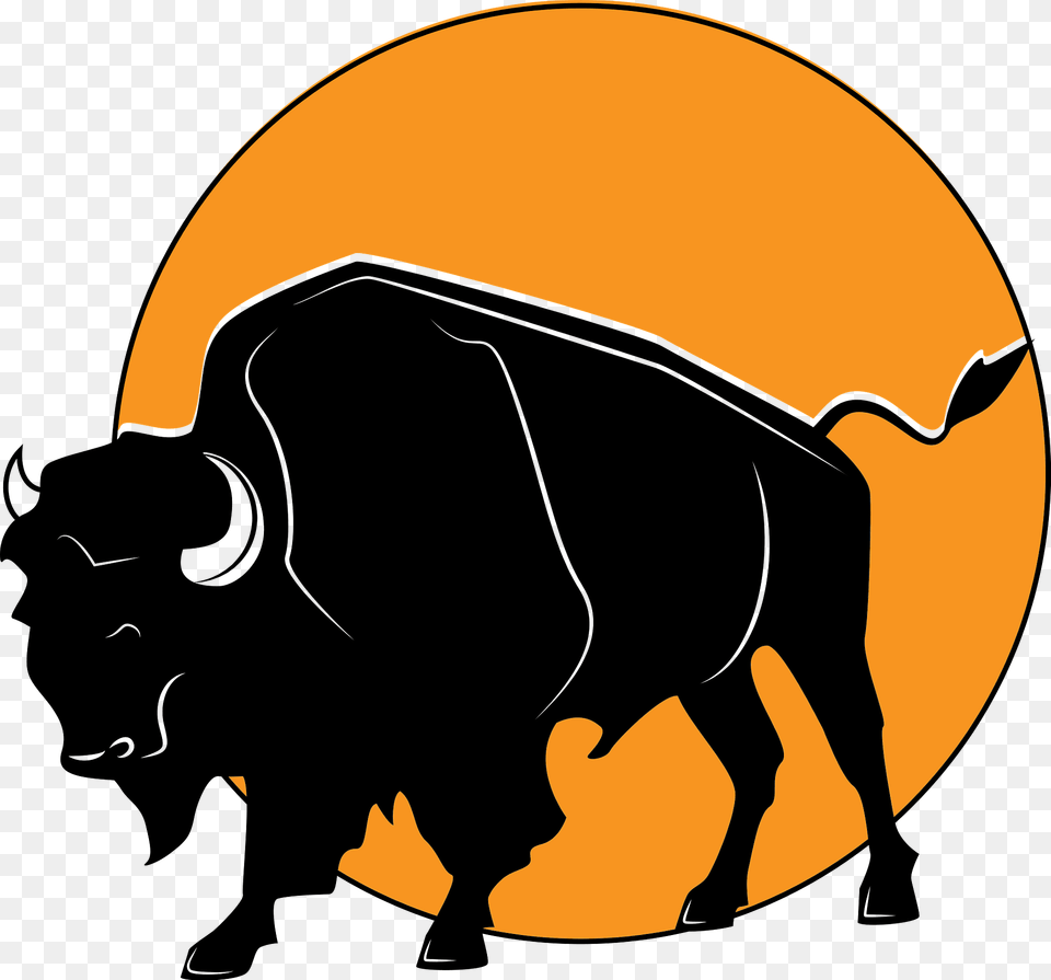 Buffalo Clipart, Animal, Mammal, Wildlife, Bison Png