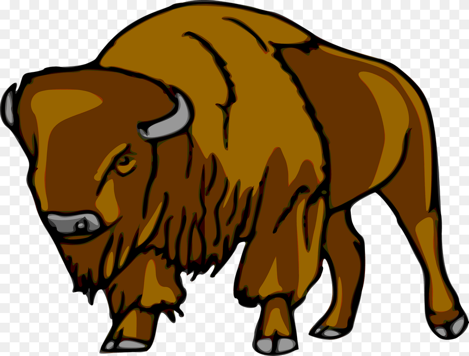 Buffalo Clipart, Animal, Mammal, Wildlife, Bison Png Image