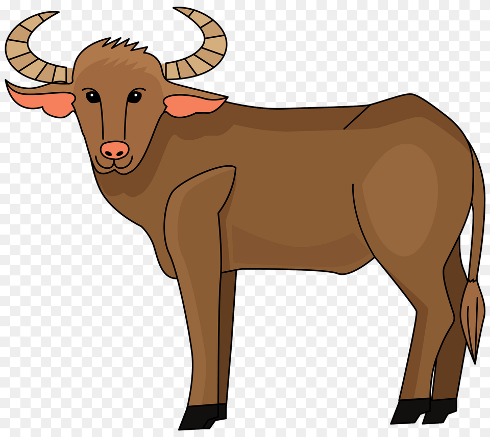 Buffalo Clipart, Animal, Bull, Mammal, Cattle Png