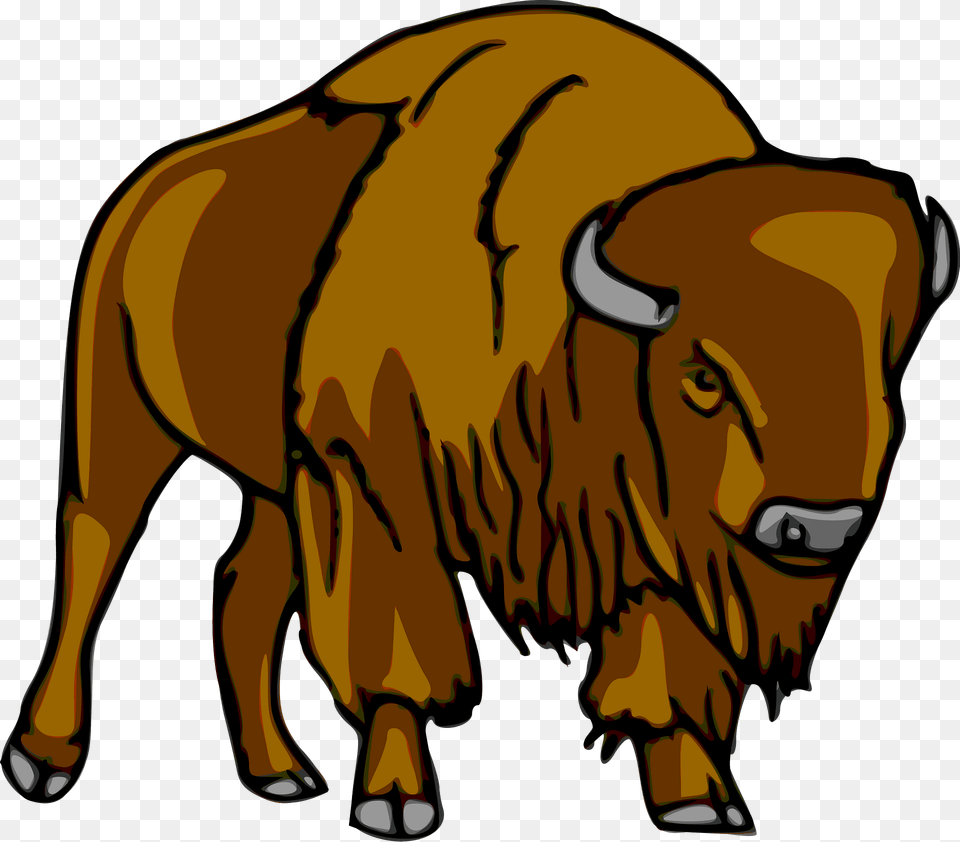 Buffalo Clipart, Animal, Mammal, Wildlife, Bison Png