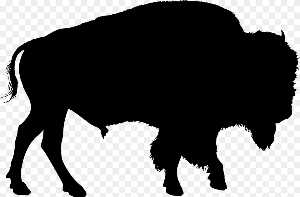 Buffalo Clipart Silhouette, Gray Free Png