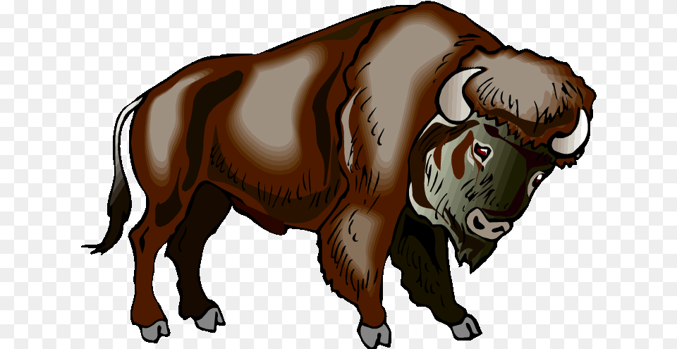 Buffalo Clipart Water Buffalo The Buffalo Clip Art Clipart Bison, Wildlife, Animal, Mammal, Bull Free Png