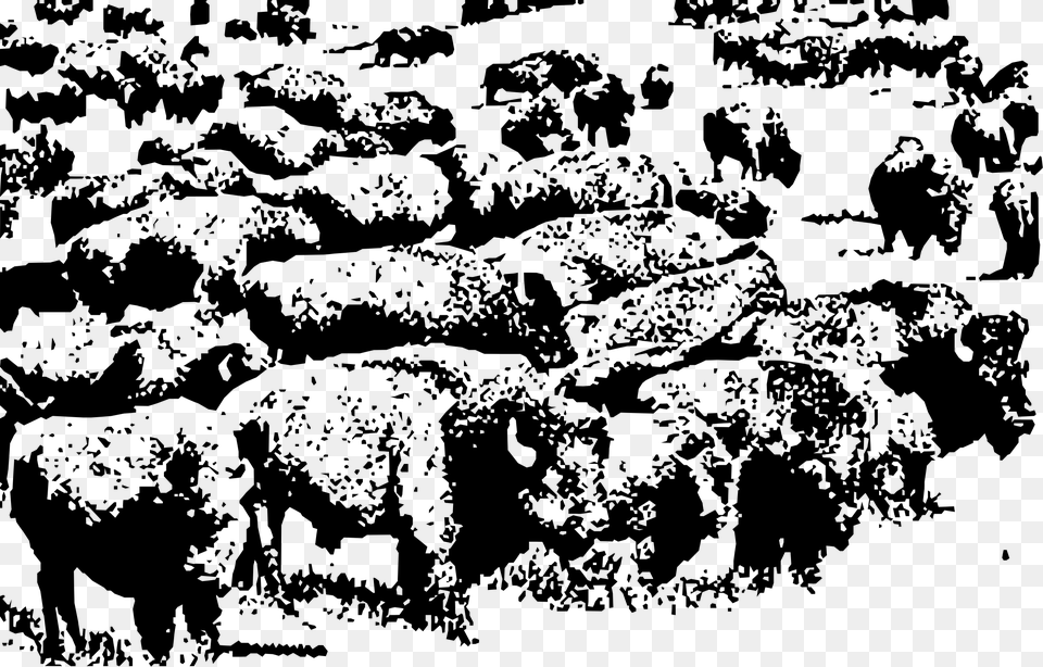 Buffalo Herd Clip Arts Buffalo Herd Black And White, Gray Free Png Download