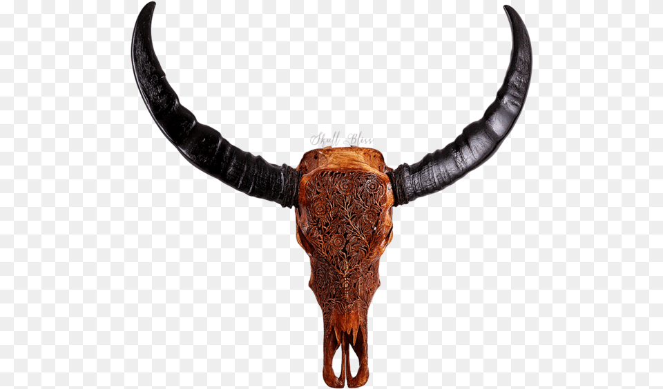 Buffalo Horns, Accessories, Necklace, Mammal, Jewelry Free Transparent Png