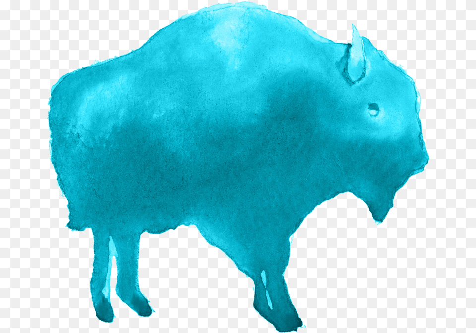 Buffalo No Background Bison, Animal, Mammal, Wildlife, Bull Free Png Download
