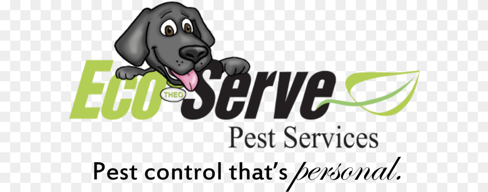 Buffalo Ny Pest Control Language, Baby, Person, Ball, Face Png Image