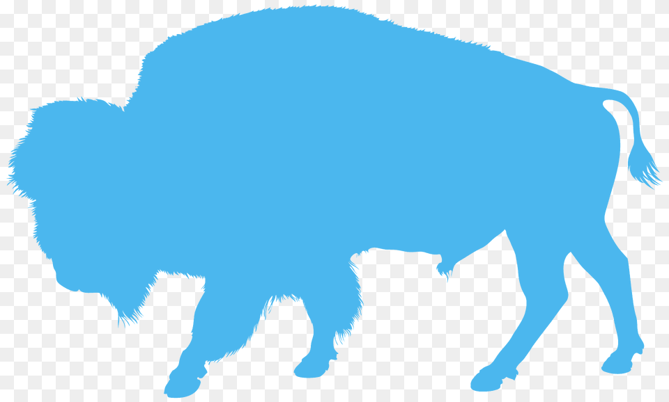 Buffalo Silhouette, Animal, Bison, Mammal, Wildlife Png
