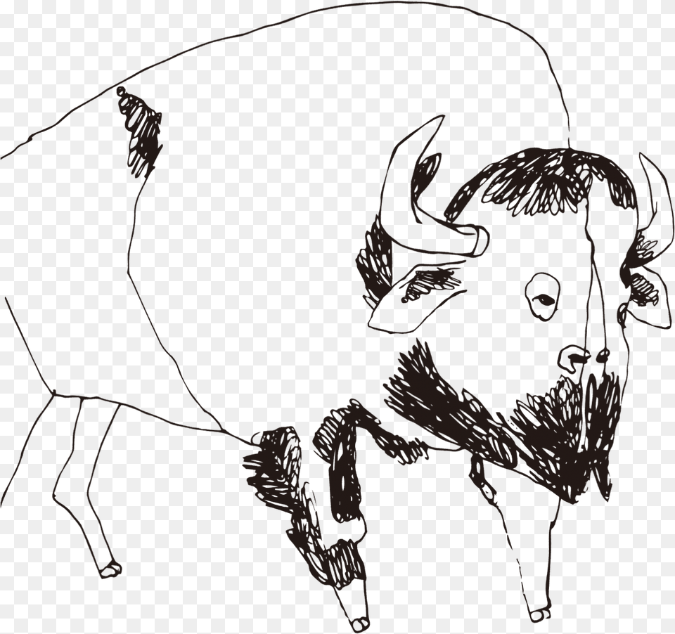 Buffalo Sketch, Animal, Mammal, Wildlife, Bison Free Png