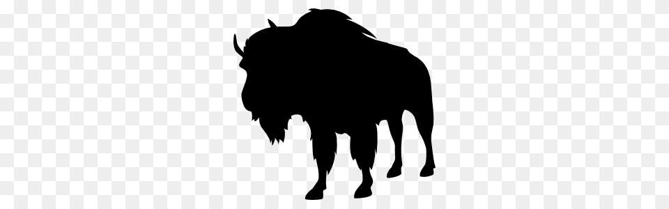Buffalo Standing Sticker, Animal, Mammal, Wildlife, Bison Png