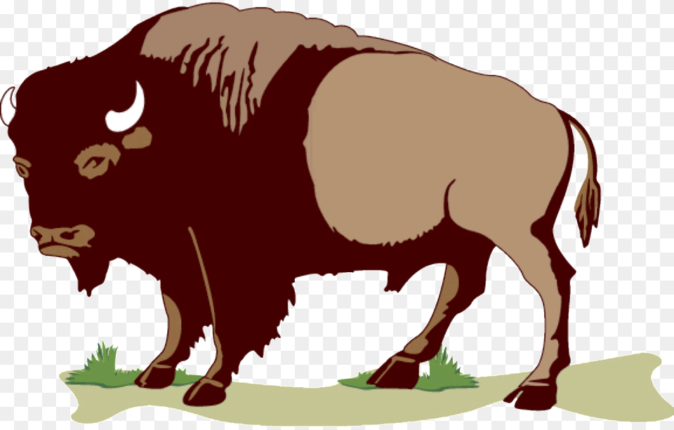 Buffalo Sticker Clipart Download Buffalo Clip Art, Animal, Mammal, Wildlife, Bison Free Transparent Png