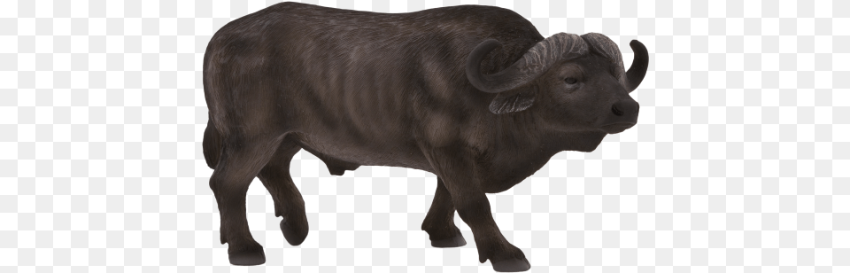 Buffalo African Clip Art Black And White Cape Buffalo, Animal, Bull, Mammal, Wildlife Free Transparent Png
