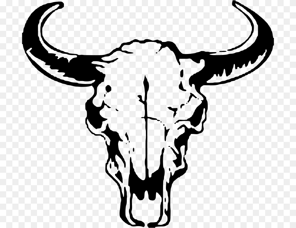 Buffalo Transparent Head Banner Freeuse Library Steer Skull Clip Art, Animal, Mammal, Bull, Longhorn Png