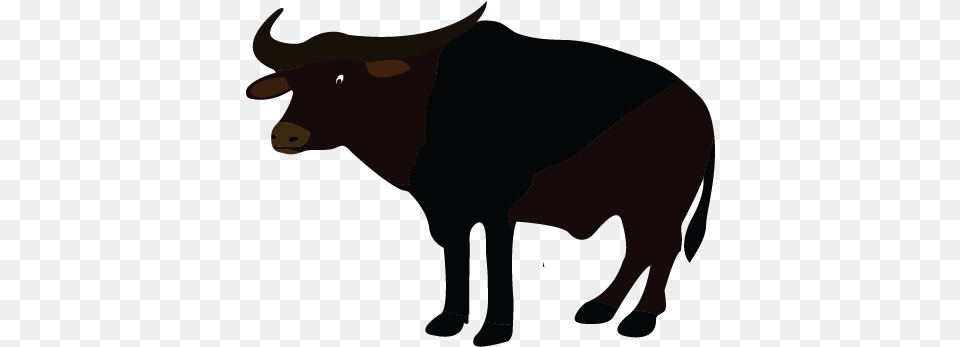 Buffalo Water Buffalo Silhouette, Animal, Bull, Mammal, Cattle Free Png