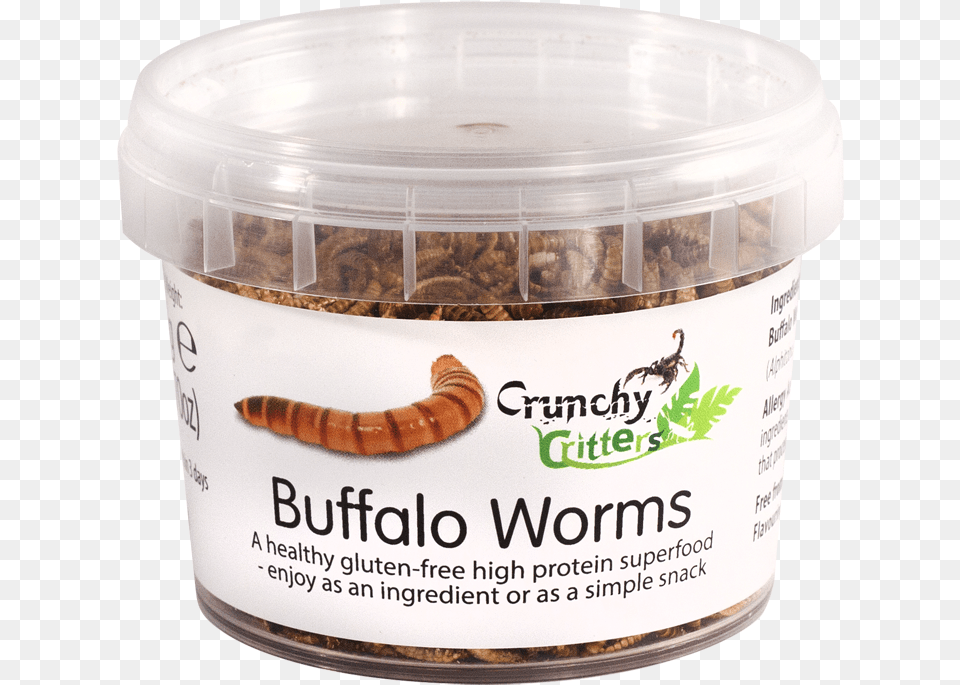 Buffalo Worms, Animal, Insect, Invertebrate, Can Free Transparent Png