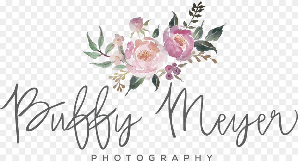 Buffy Meyer Photography Copy, Rose, Plant, Flower, Mail Free Transparent Png