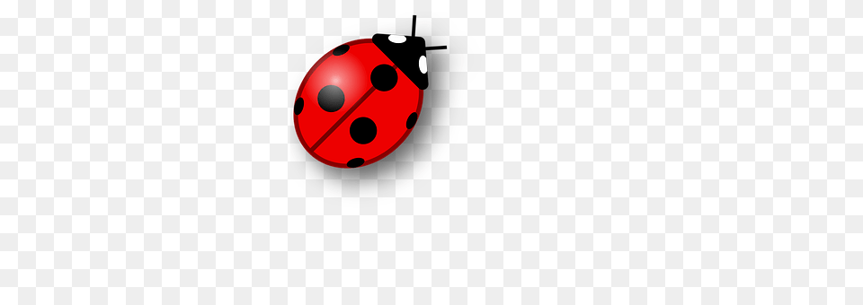 Bug Dice, Game Png