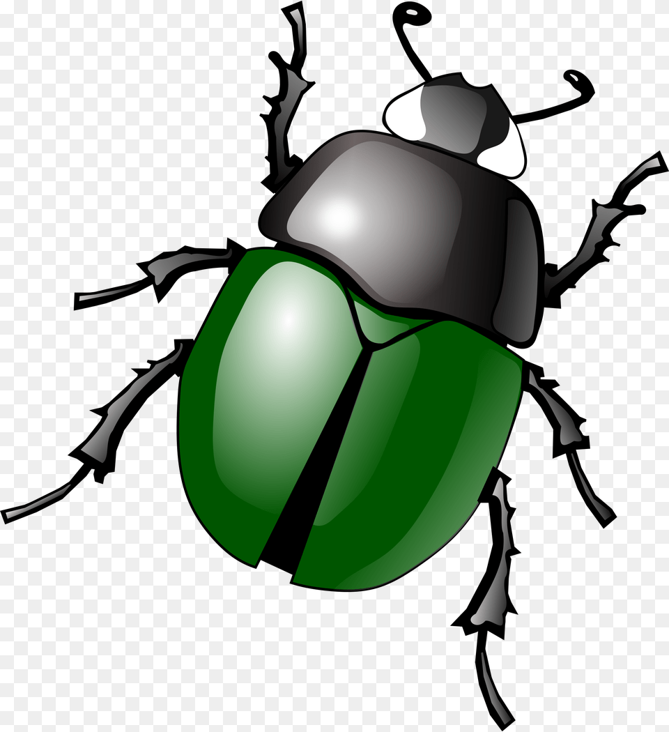 Bug, Person, Animal, Dung Beetle, Insect Free Png Download