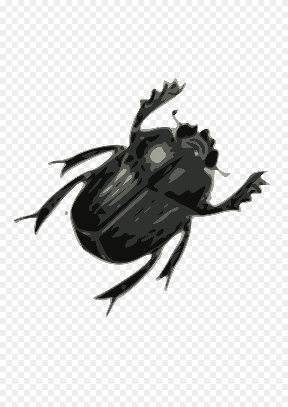 Bug, Animal, Dung Beetle, Insect, Invertebrate Png Image