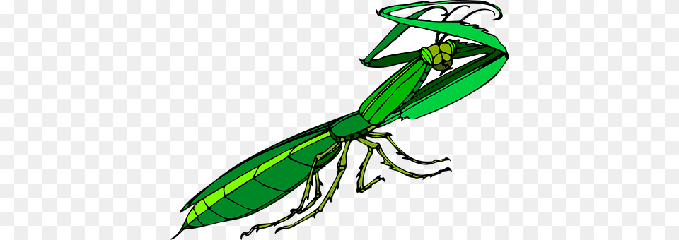 Bug Animal, Appliance, Ceiling Fan, Device Free Png Download