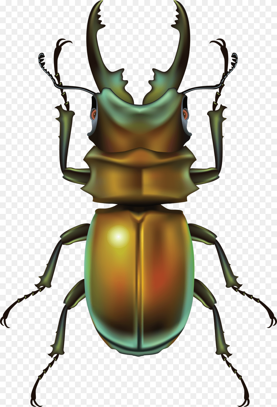Bug, Animal, Bow, Weapon, Dung Beetle Free Transparent Png
