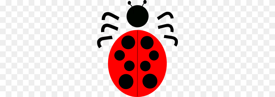 Bug Lighting Free Transparent Png