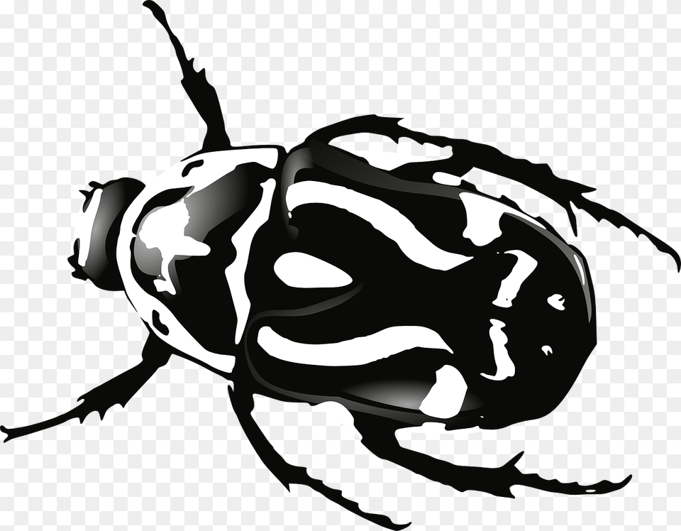Bug, Stencil, Animal, Invertebrate, Insect Free Png Download