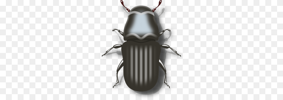 Bug Animal, Chandelier, Lamp, Dung Beetle Free Png