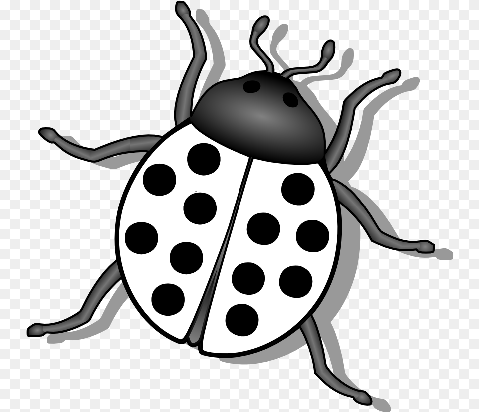 Bug Black And White, Animal Free Transparent Png