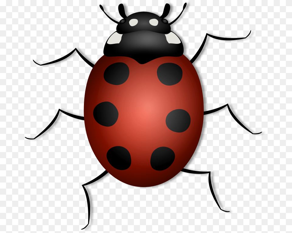 Bug Clip Art, Egg, Food Free Png Download