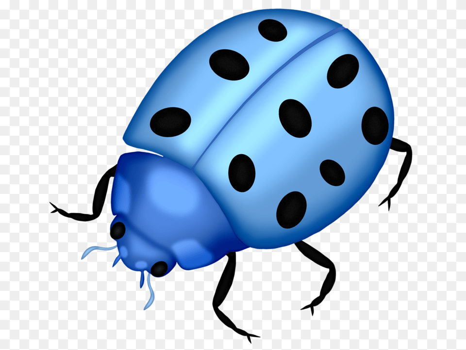 Bug Clip Art Lady Bugs And Album, Animal Free Png